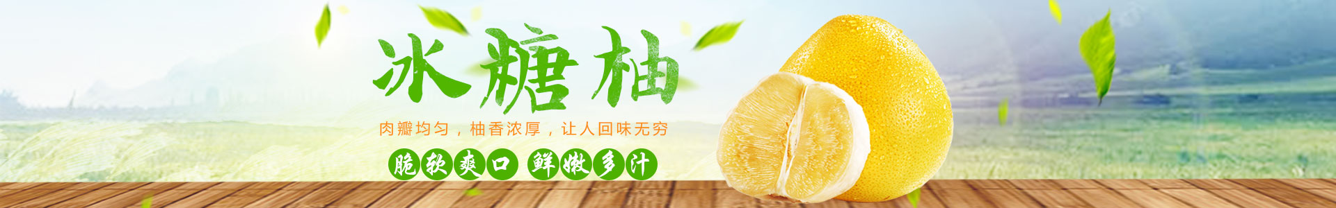 洪江市誠興水果苗木